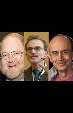 Nobel per la medicina a tre scienziati Usa: hanno spiegato il funzionamento dell’orologio biologico
